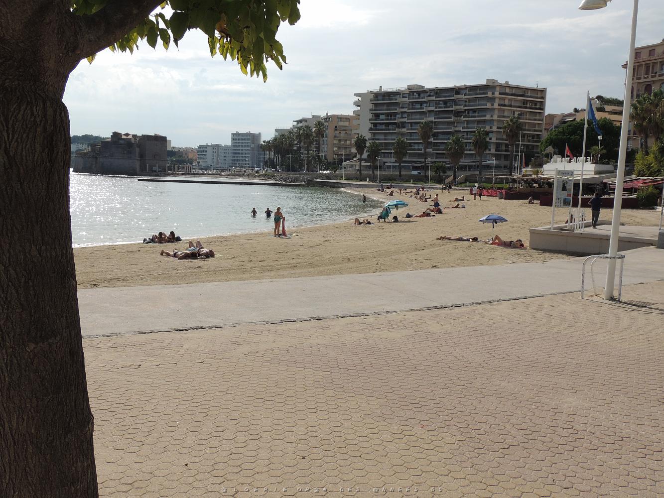 2020 09 11 TOULON PROMENADE PLAGES DU MOURILLON (16).JPG -           